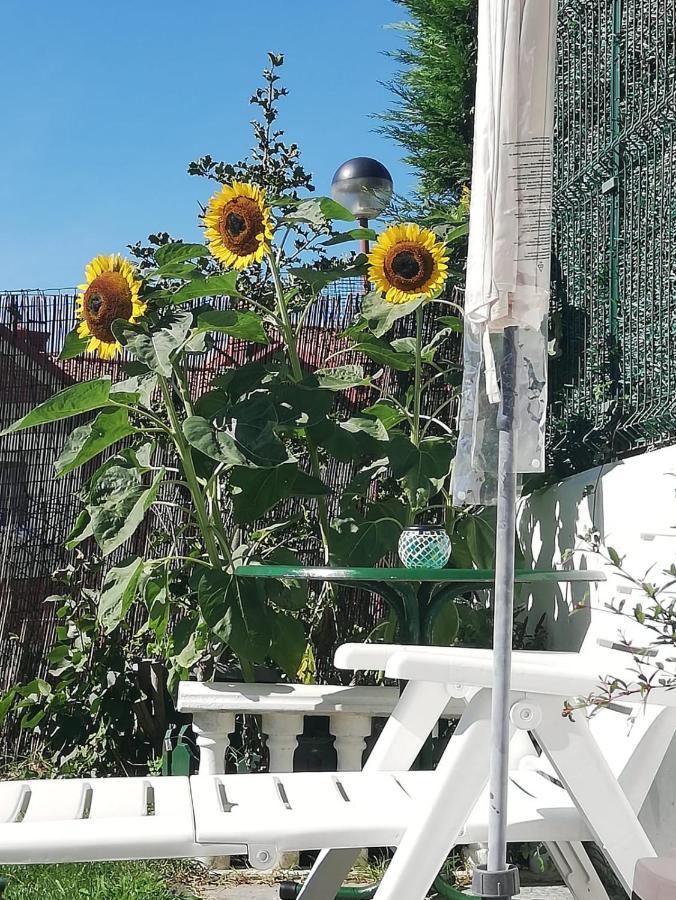 Apartamento Duplex Con Vistas Al Mar Los Girasoles موغرو المظهر الخارجي الصورة